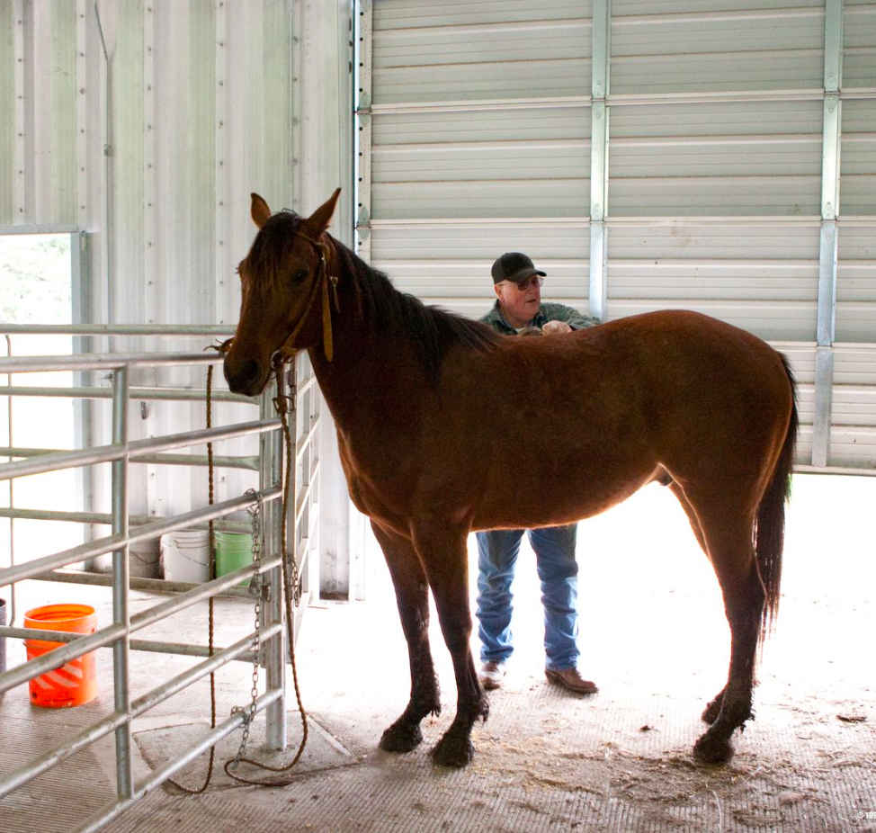 Steel Arch Building Kits